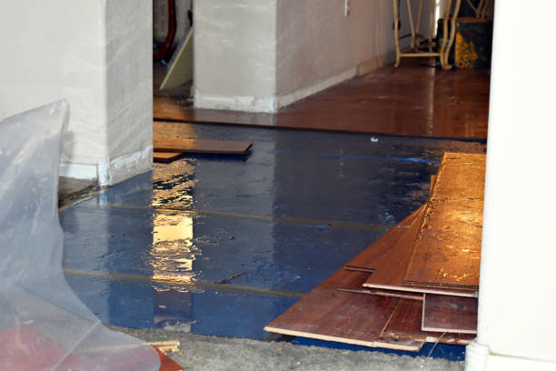 Professional Basement Flood Cleanup technician working in Mound, MN